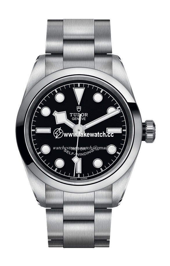 TUDOR Black Bay 32 M79580-0001