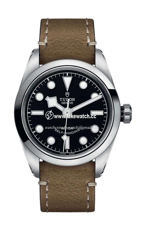 TUDOR Black Bay 32 M79580-0002