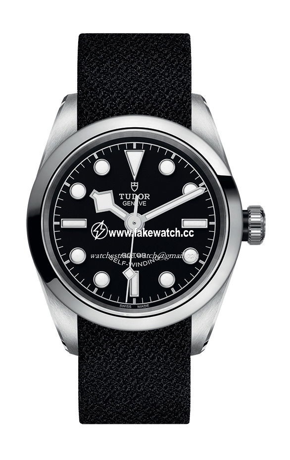 TUDOR Black Bay 32 M79580-0005