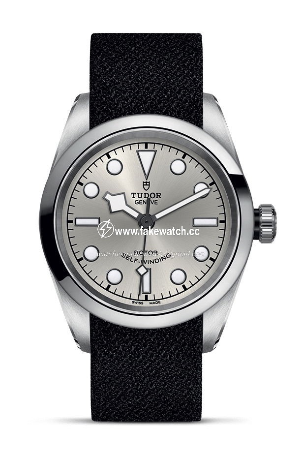 TUDOR Black Bay 32 M79580-0008