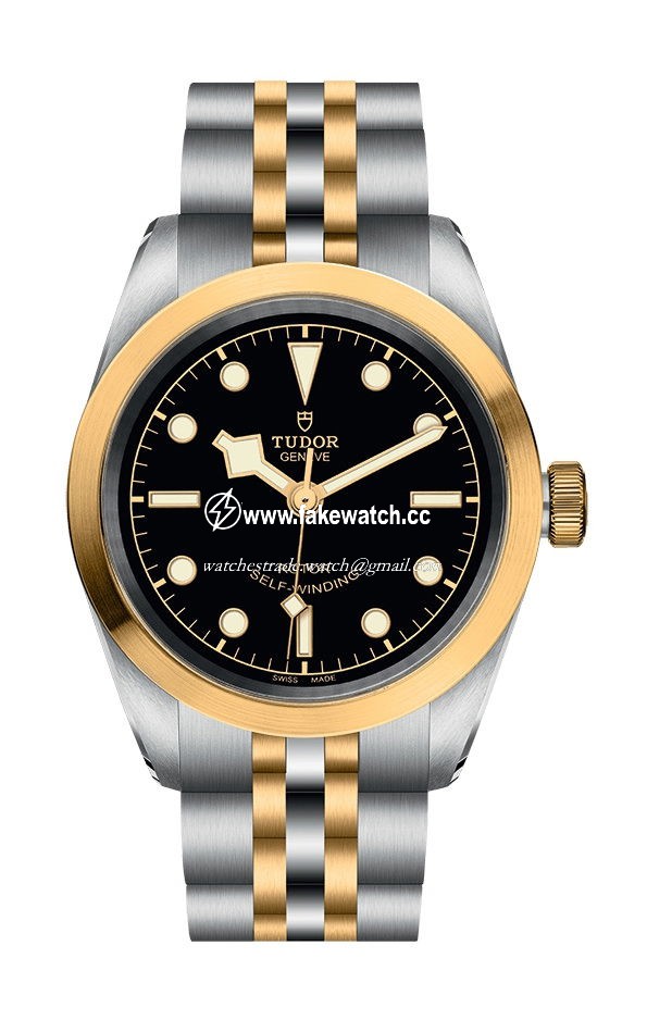 TUDOR Black  Bay 32 S & G M79583-0001