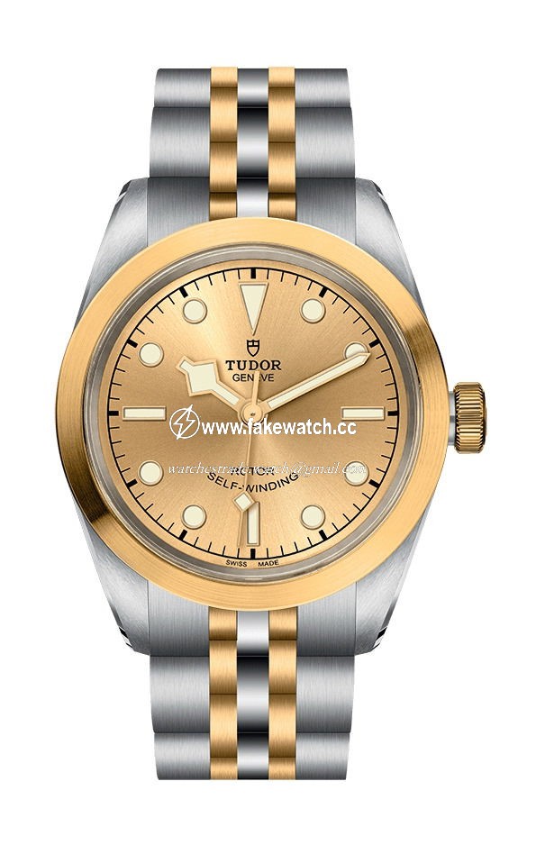 TUDOR Black  Bay 32 S & G M79583-0002