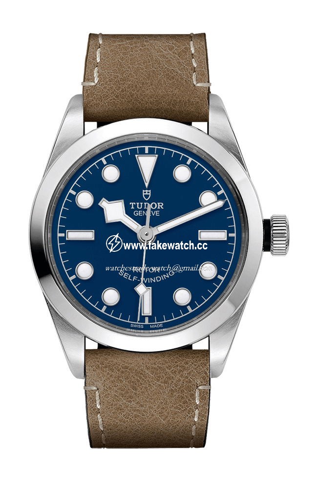 TUDOR Black Bay 36 M79500-0005