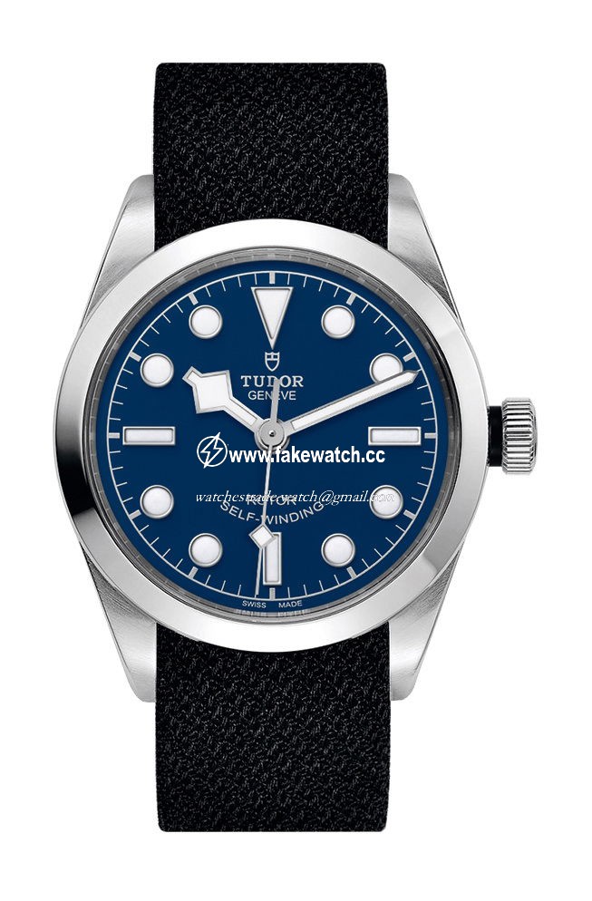 TUDOR Black Bay 36 M79500-0011