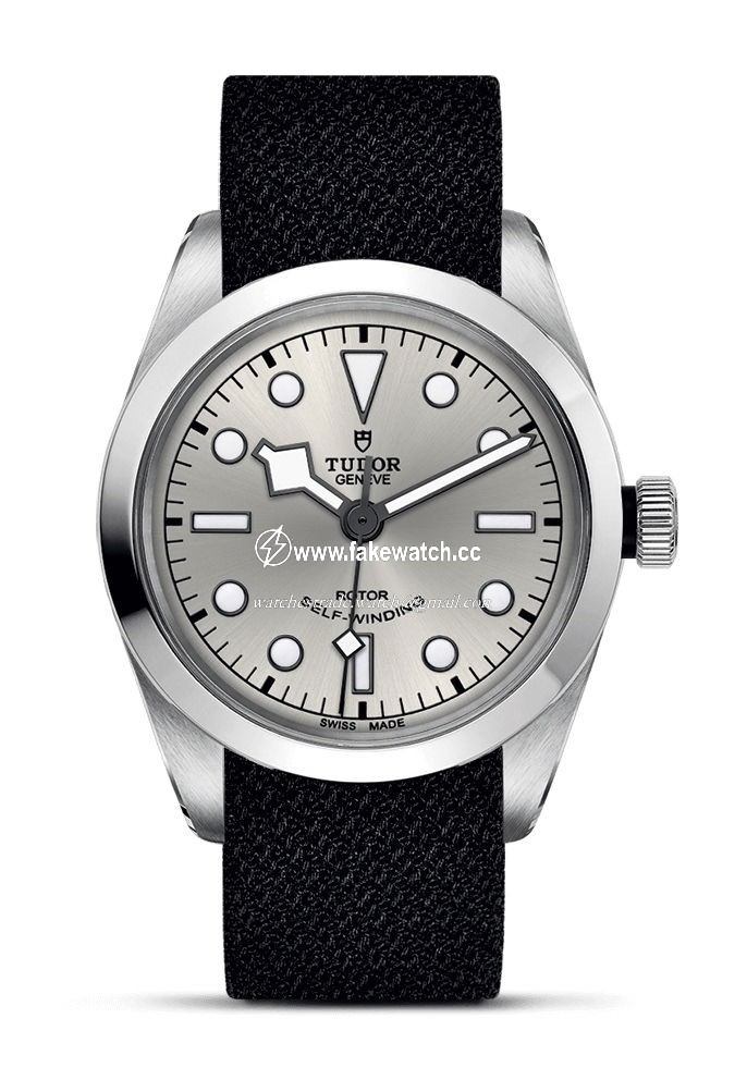 TUDOR Black Bay 36 M79500-0014