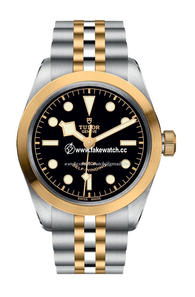 TUDOR Black  Bay 36 S & G M79503-0001