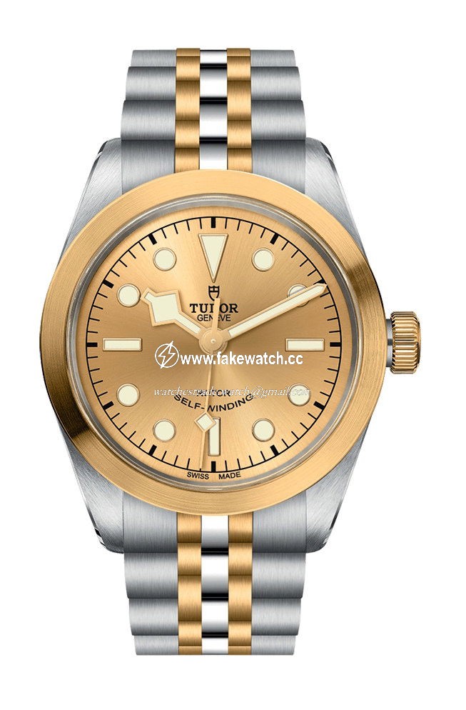 TUDOR Black  Bay 36 S & G M79503-0002