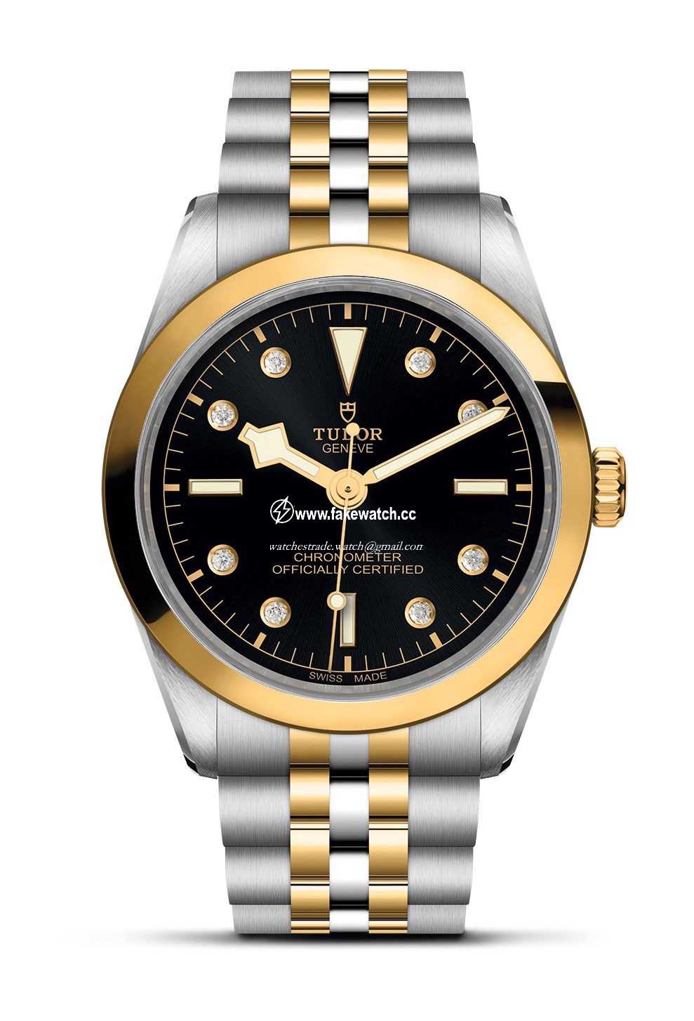 TUDOR Black Bay 36 S&G M79643-0006