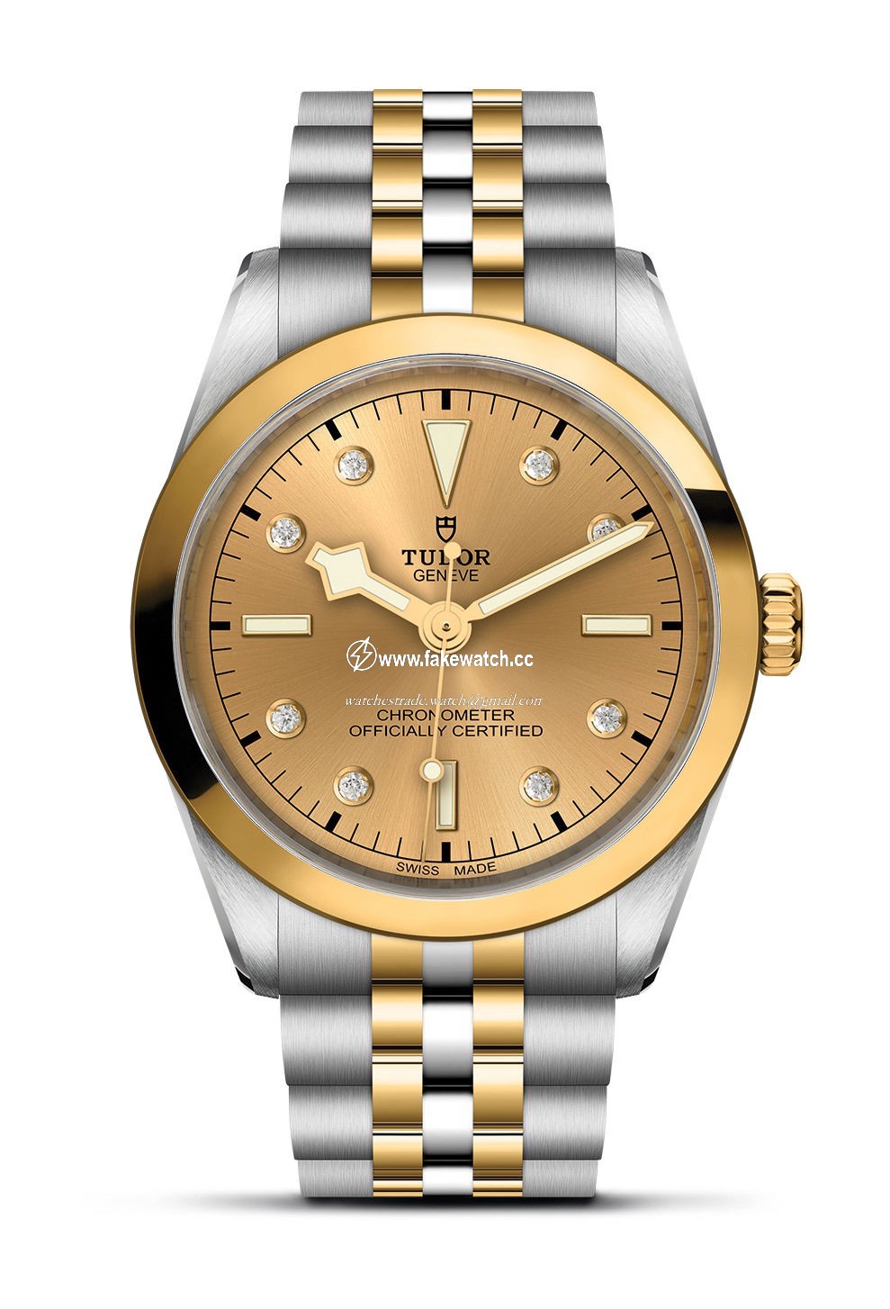 TUDOR Black Bay 36 S&G M79643-0008