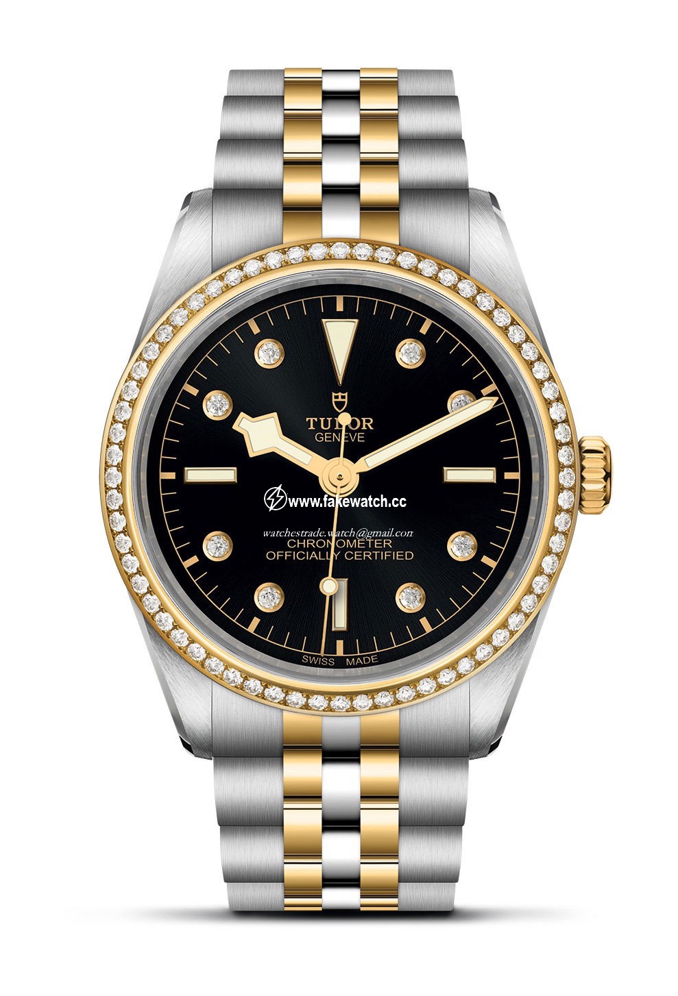 TUDOR Black Bay 36 S&G M79653-0005