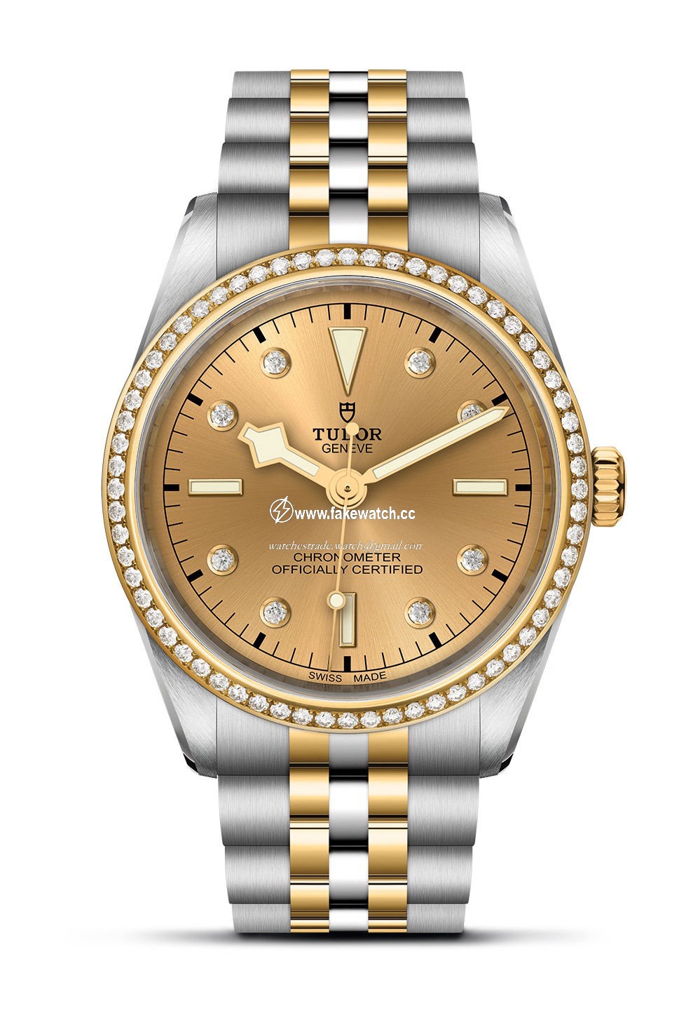 TUDOR Black Bay 36 S&G M79653-0007