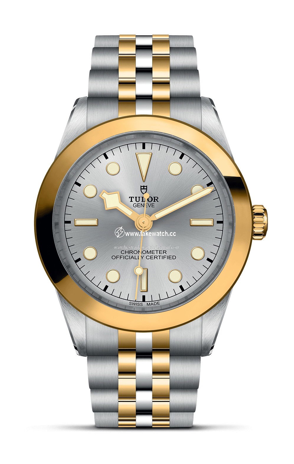 TUDOR Black Bay 39 S&G M79663-0002