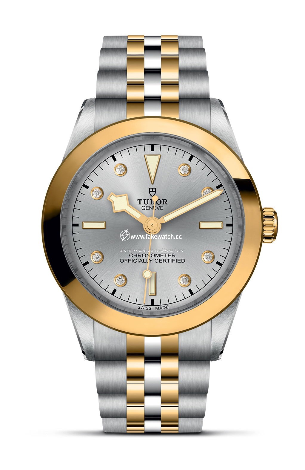 TUDOR Black Bay 39 S&G M79663-0007