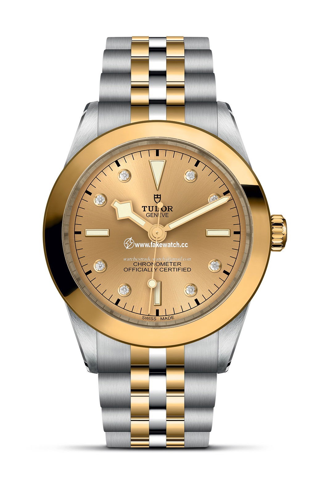 TUDOR Black Bay 39 S&G M79663-0008