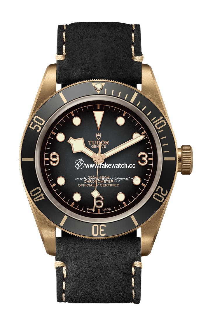 TUDOR Black Bay Bronze M79250BA-0001