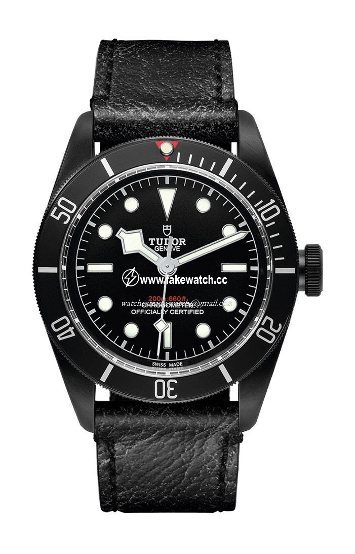 TUDOR Black  Bay Dark M79230DK-0007