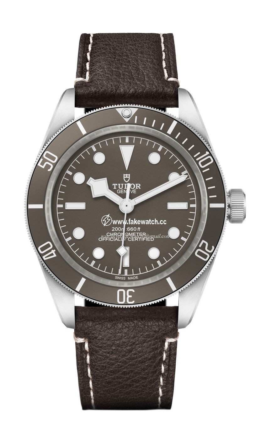 TUDOR Black Bay Fifty-Eight 925 M79010SG-0001