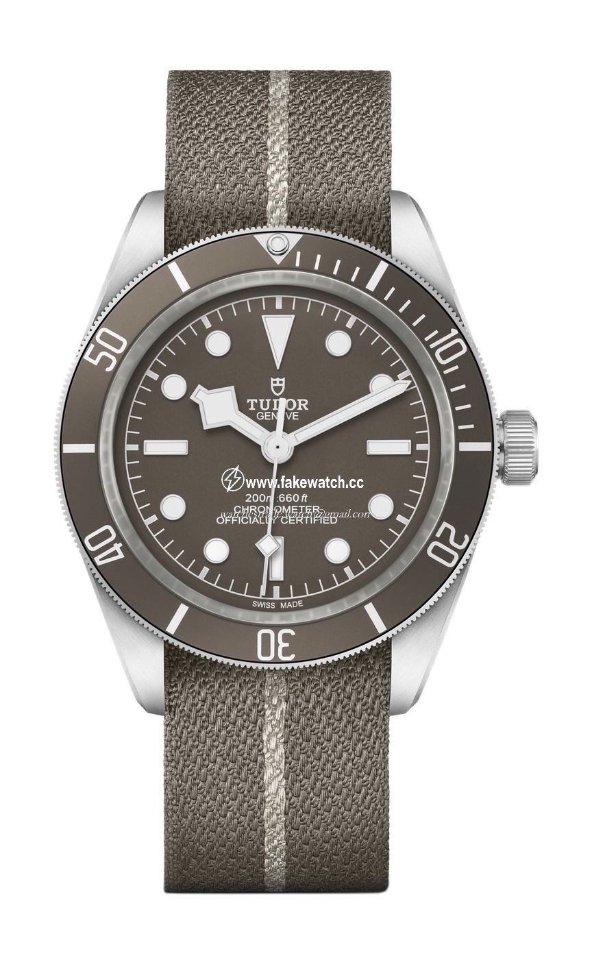 TUDOR Black Bay Fifty-Eight 925 M79010SG-0002