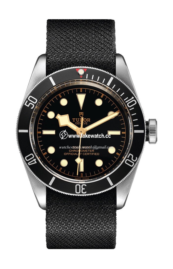 TUDOR Black Bay M79230N-0005