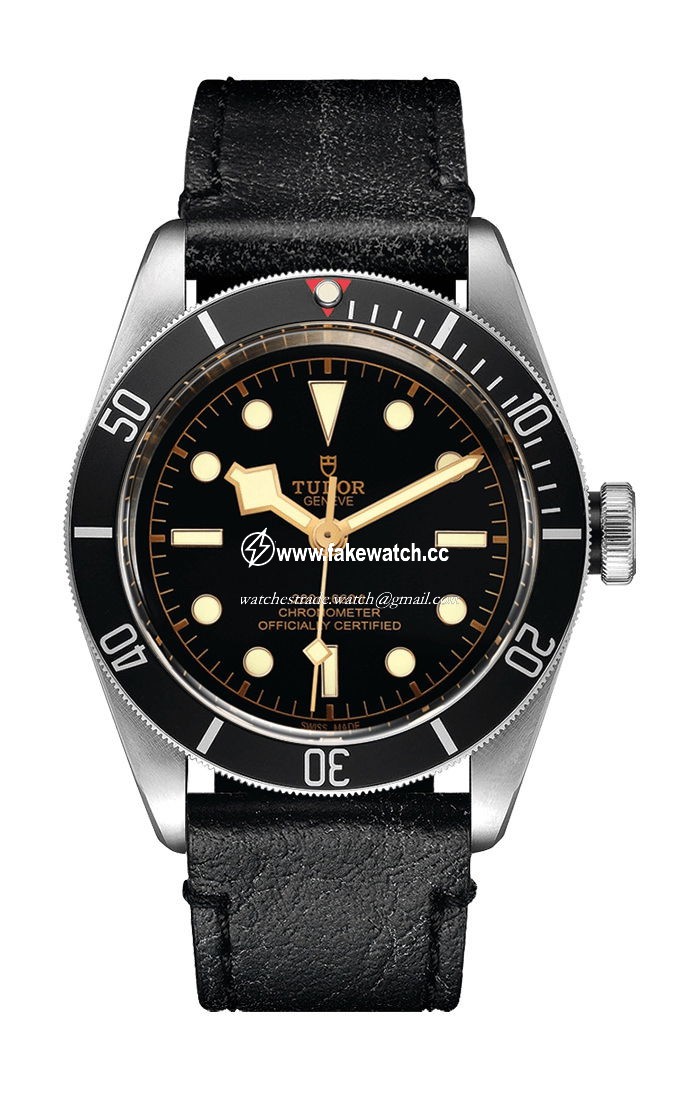 TUDOR Black Bay M79230N-0008