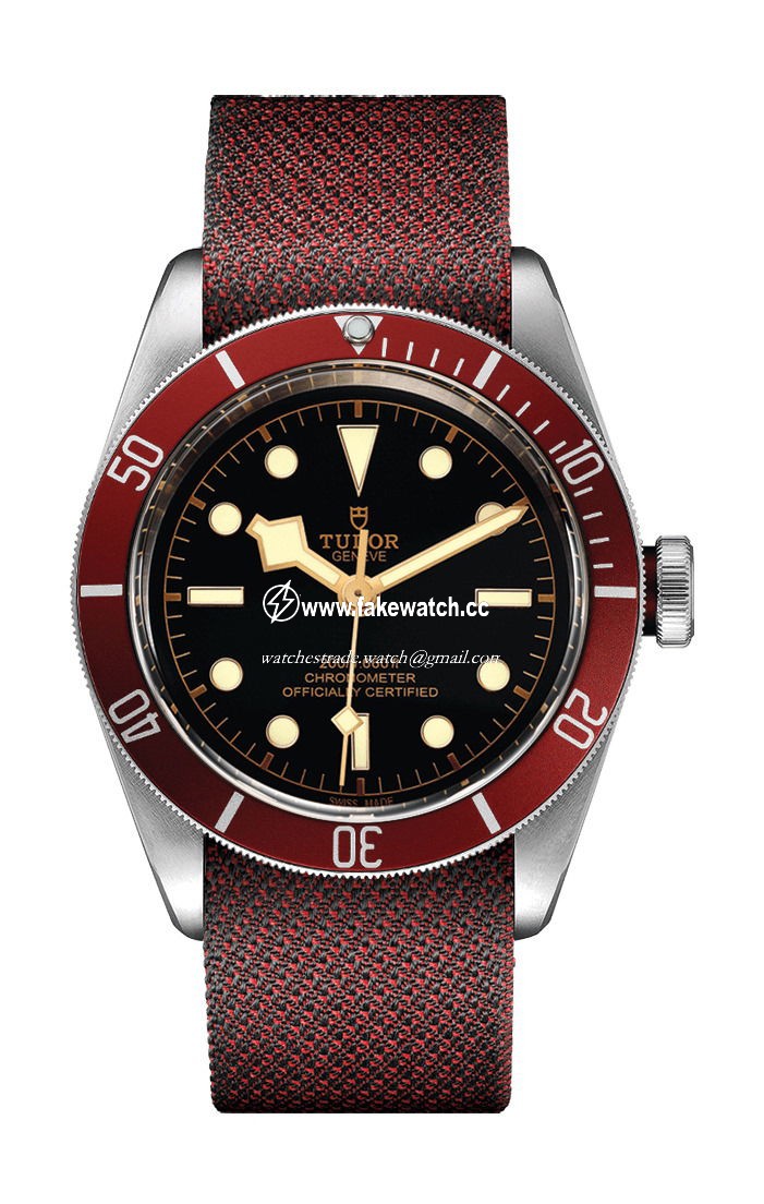 TUDOR Black Bay M79230R-0009