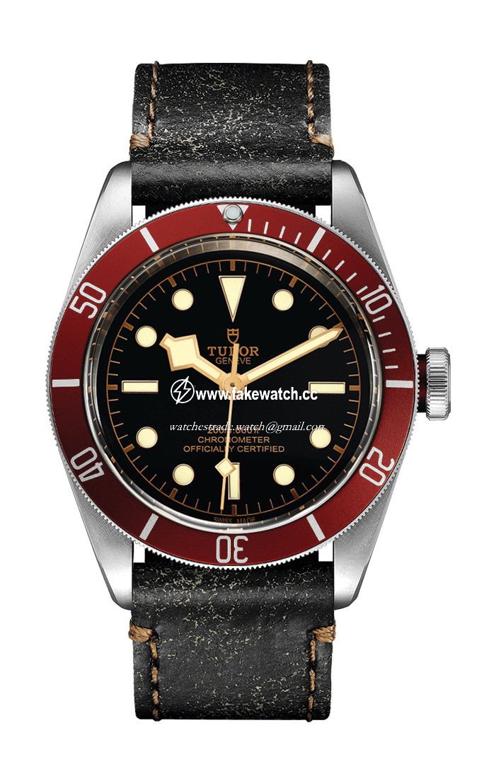 TUDOR Black Bay M79230R-0010