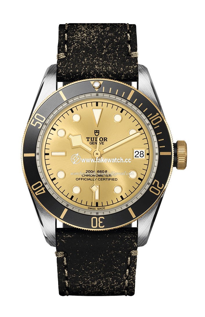TUDOR Black Bay S&G M79733N-0003