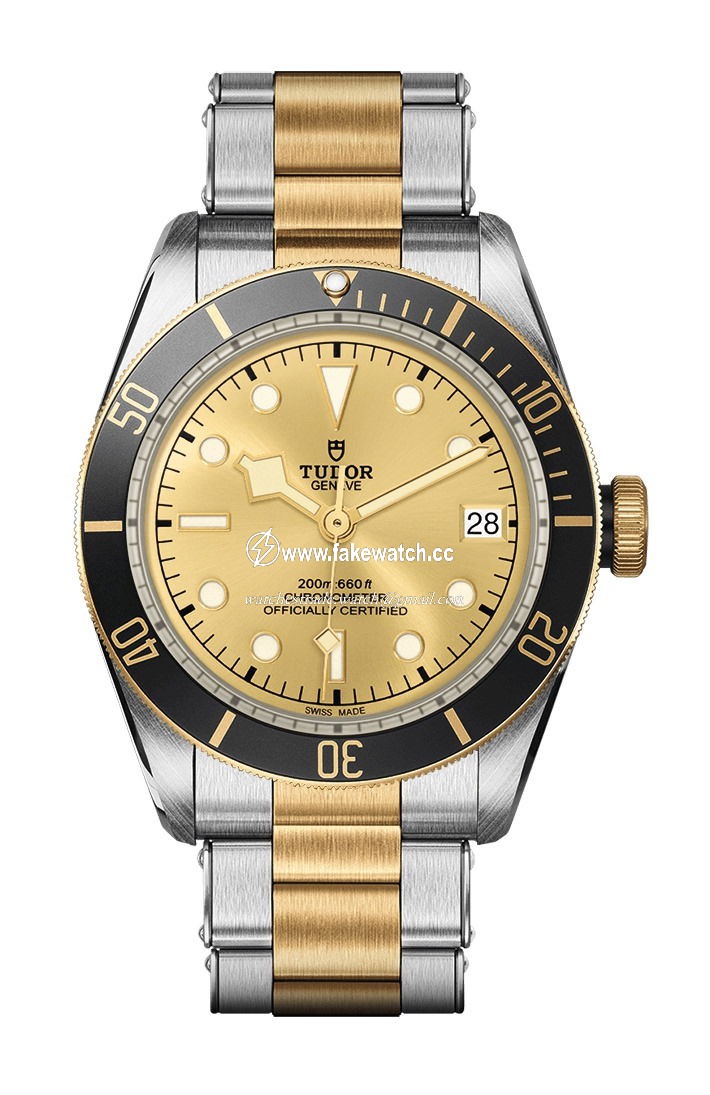 TUDOR Black Bay S&G M79733N-0004