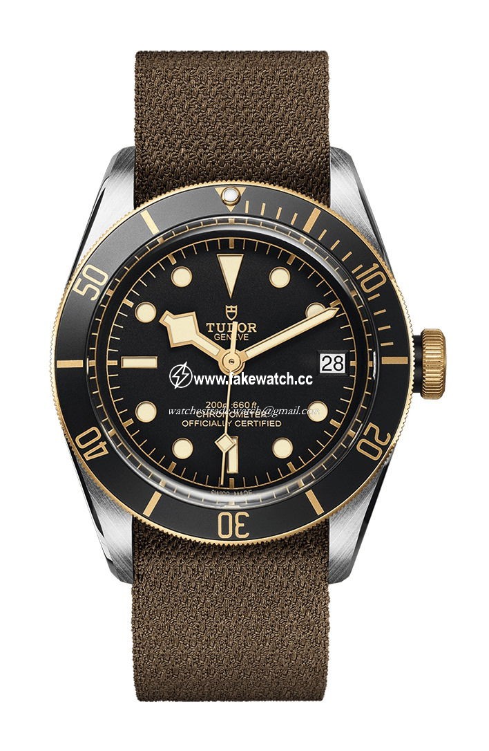 TUDOR Black Bay S&G M79733N-0005