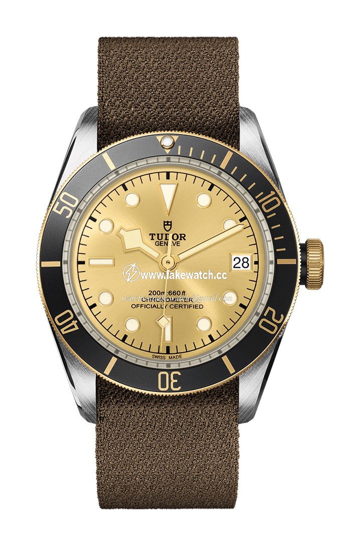 TUDOR Black Bay S&G M79733N-0006