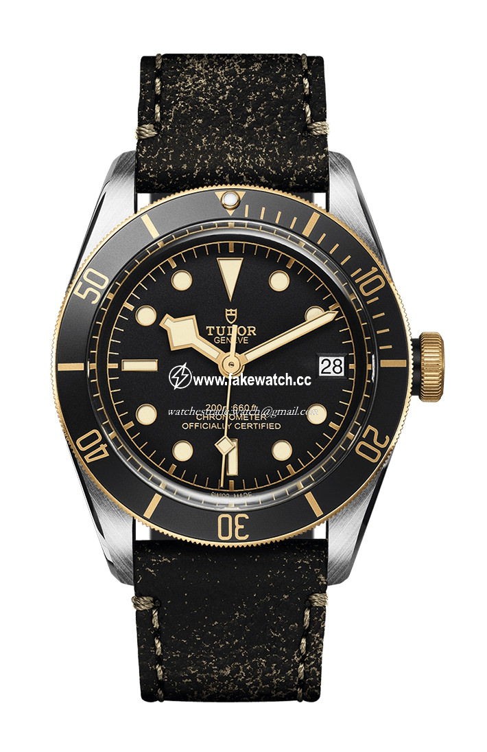 TUDOR Black Bay S&G M79733N-0007