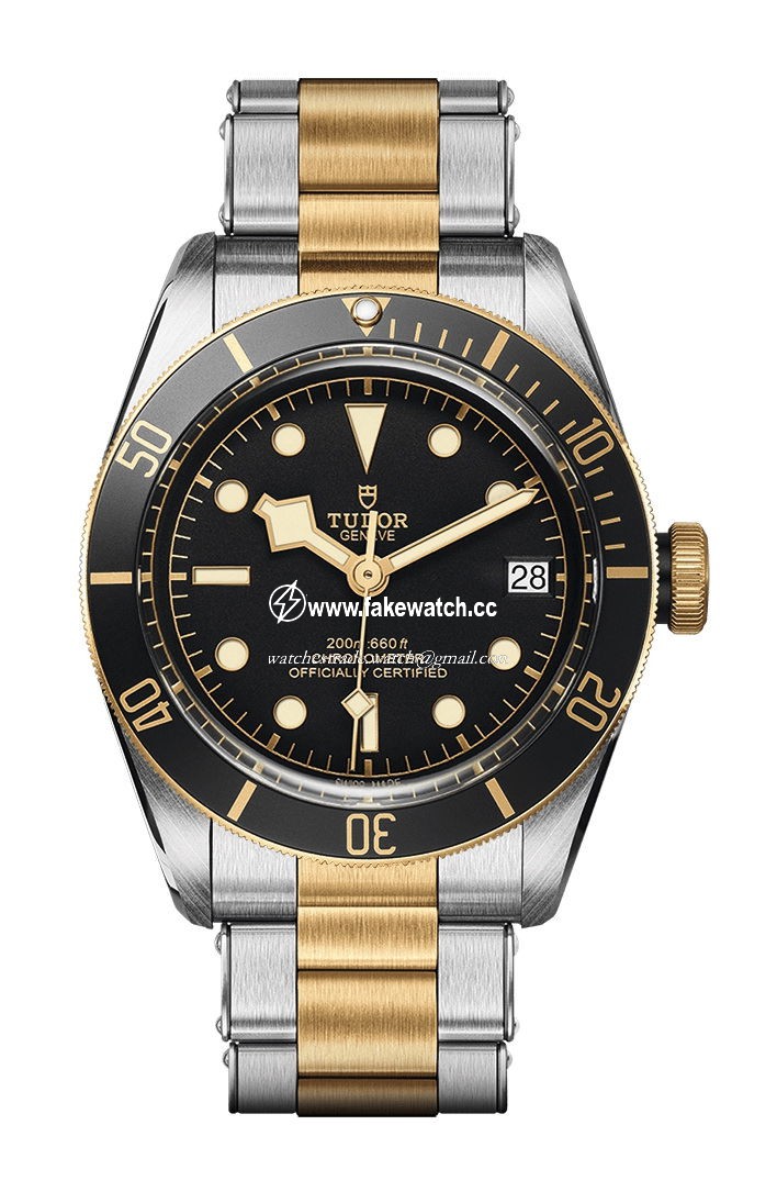 TUDOR Black Bay S&G M79733N-0008