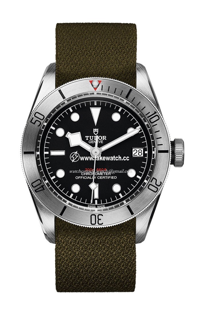 TUDOR Black  Bay Steel M79730-0004