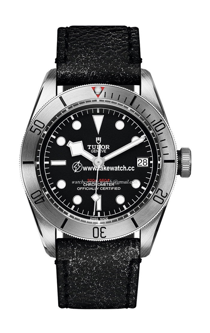 TUDOR Black  Bay Steel M79730-0005